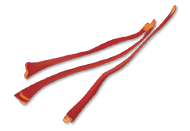 ZAFFERANO Ristorante Catering